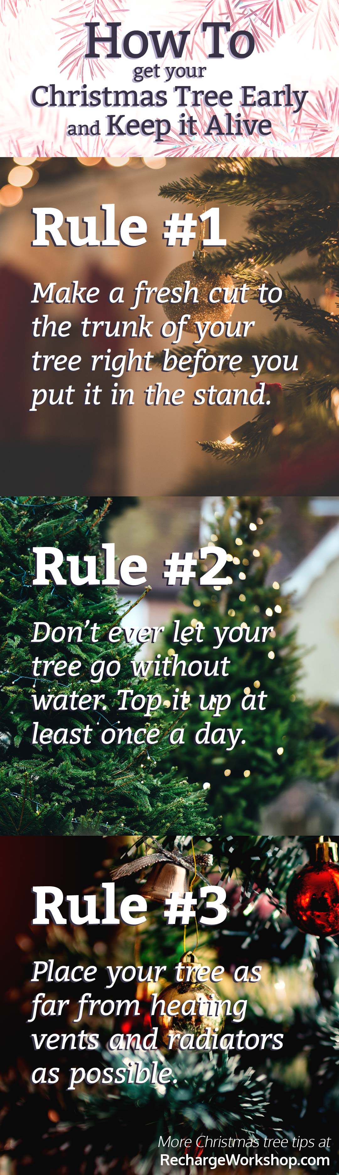 3 Rules for Keeping Your Christmas Tree Alive — Recharge